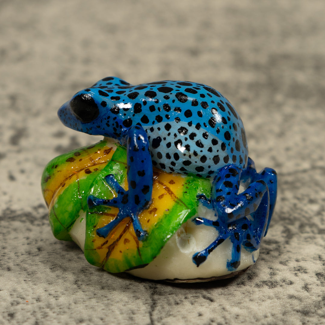 Blue Poison Dart Frog Tagua Carving