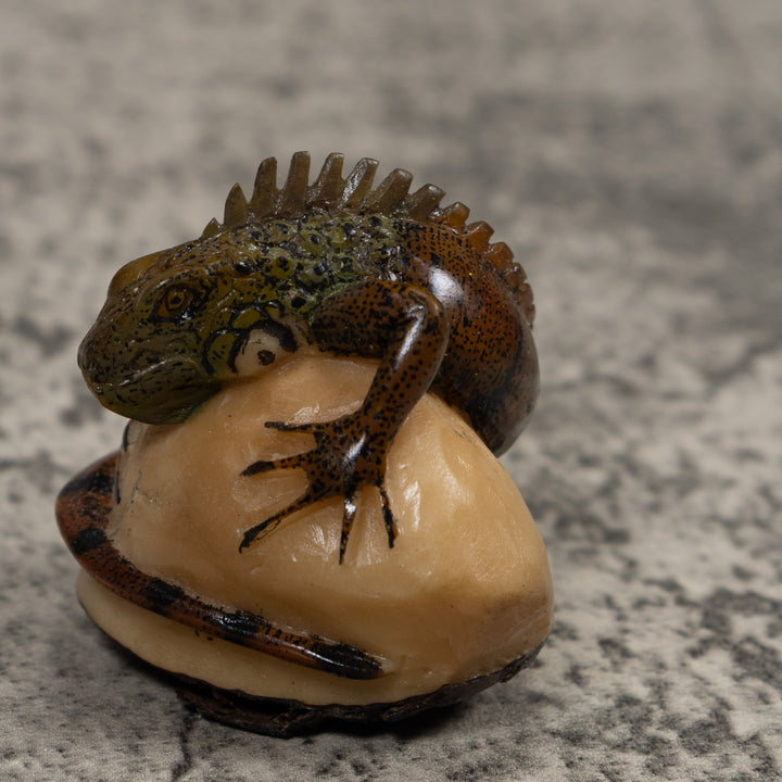 Iguana Lizard Reptile Tagua Carving