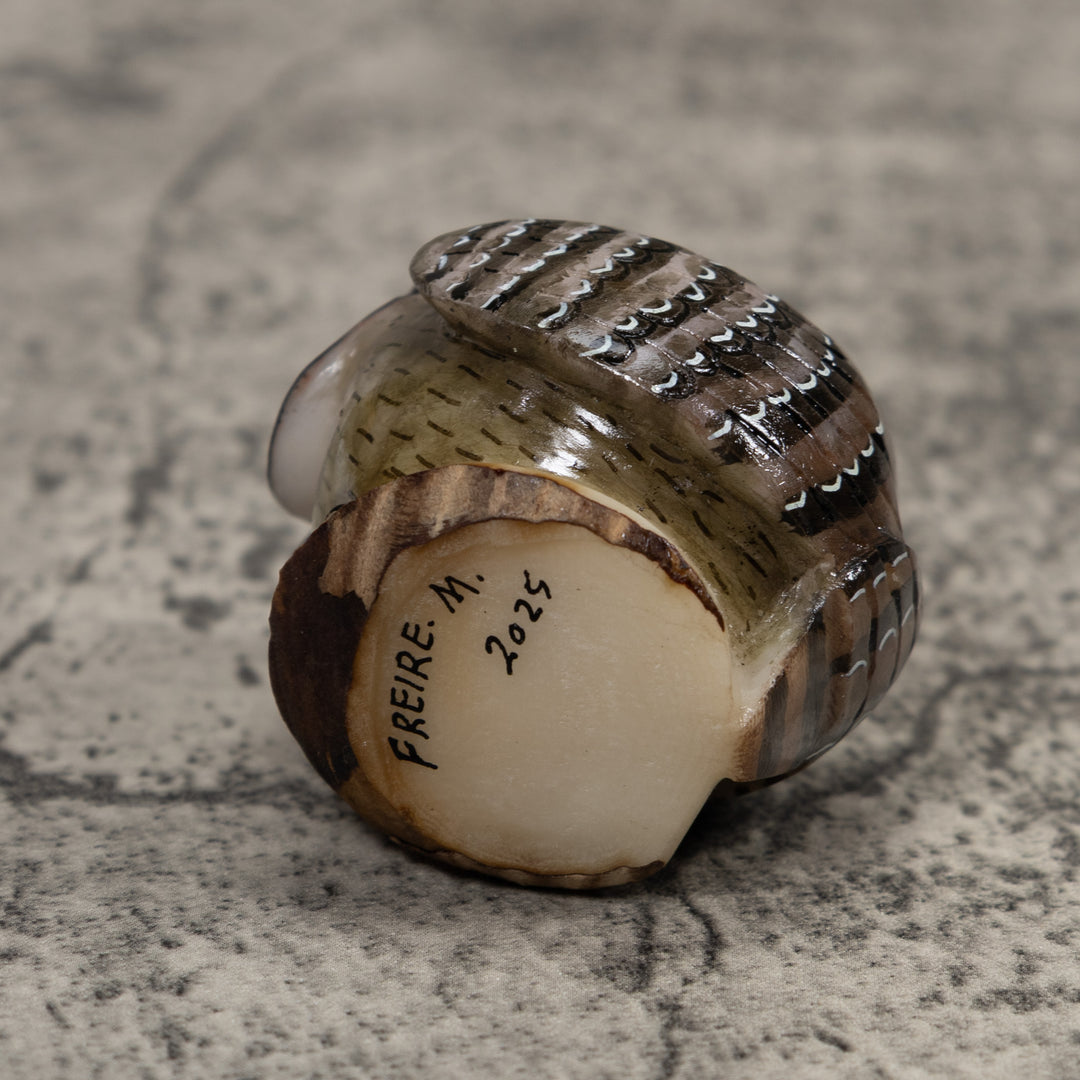 Owl Bird Tagua Carving