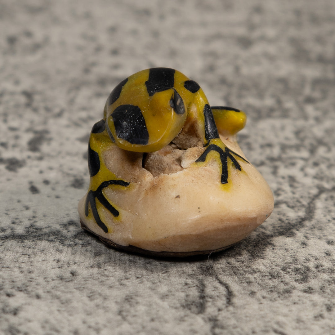Vintage Yellow And Black Poison Dart Frog Tagua Carving