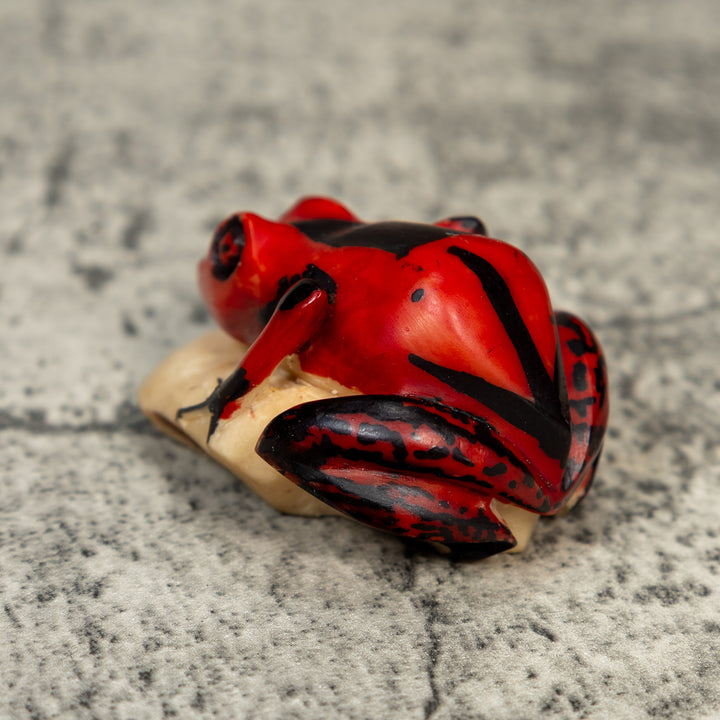 Vintage Red And Black Frog Tagua Carving