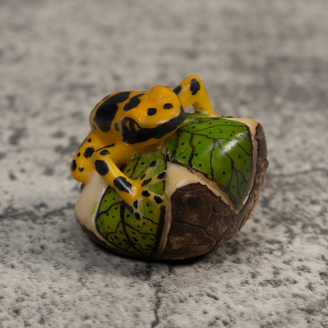 Black And Gold Poison Dart Frog Tagua Carving