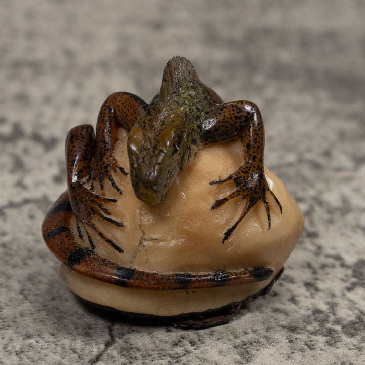 Iguana Lizard Reptile Tagua Carving