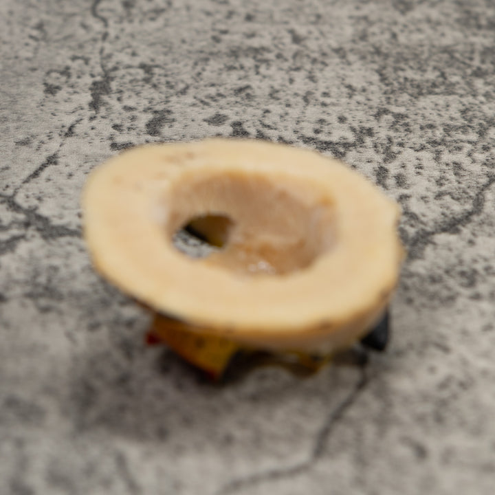 Vintage Poison Dart Frog Tagua Carving