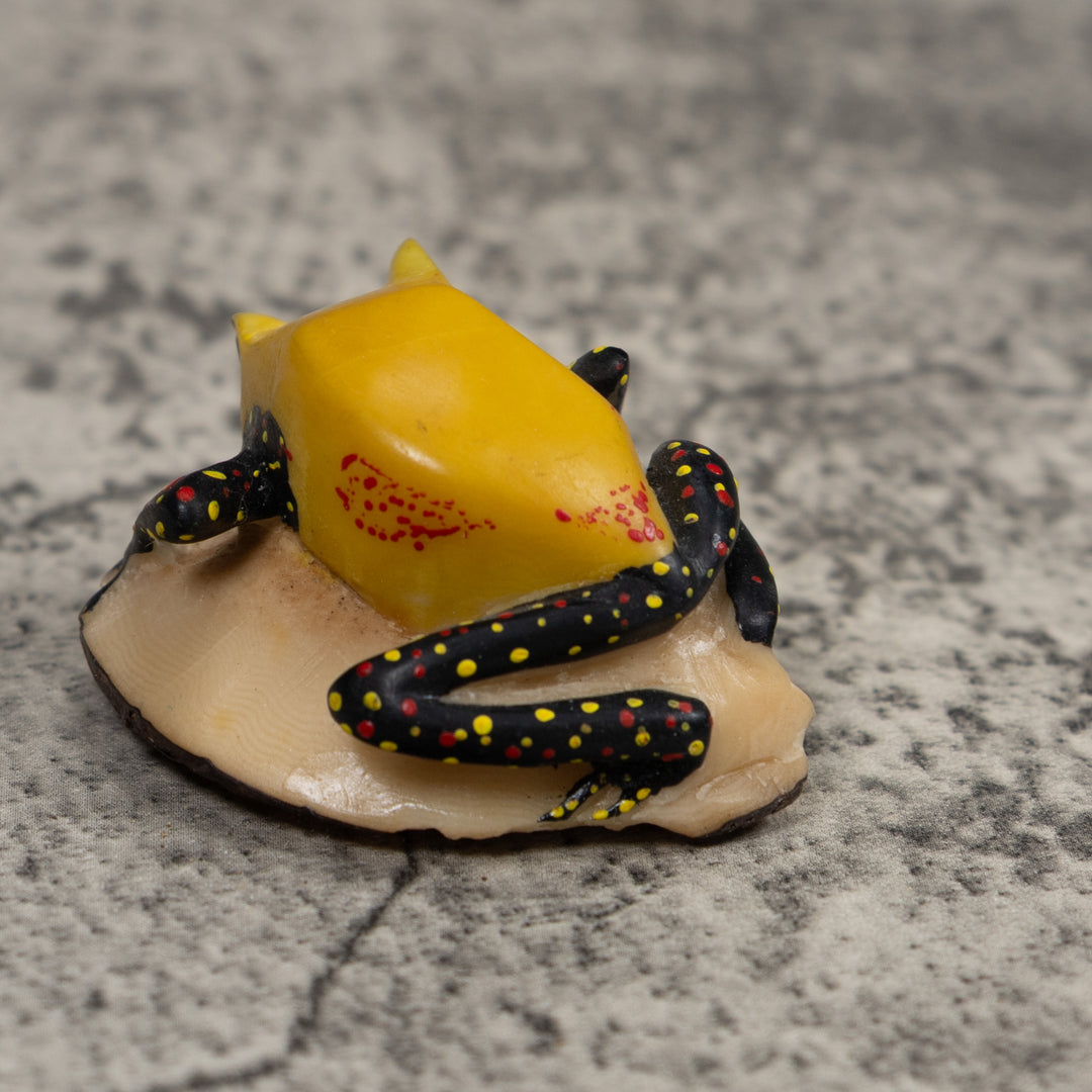 Poison Dart Frog Tagua Carving