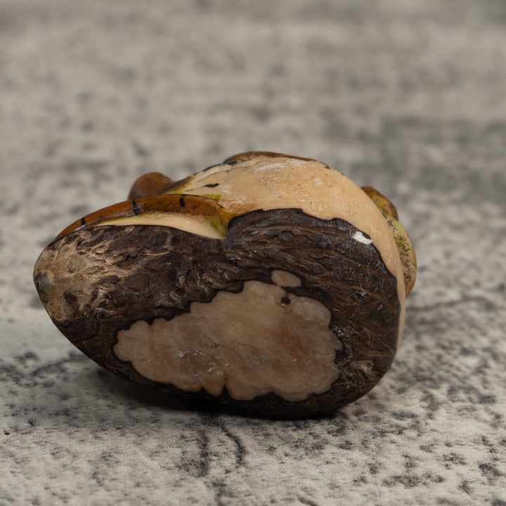 Vintage Brown And Black Iguana Tagua Carving