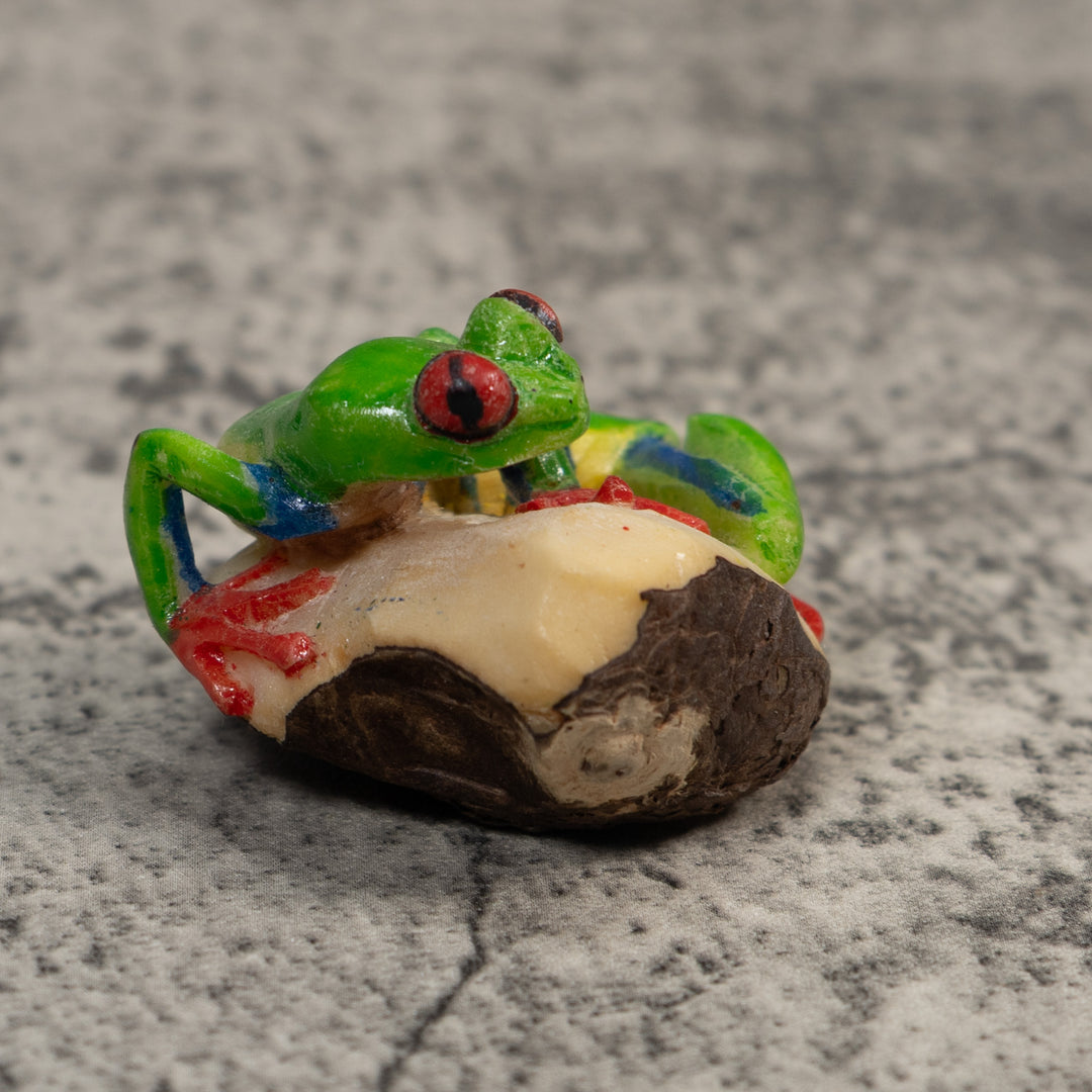 Red-Eye Tree Frog Tagua Carving