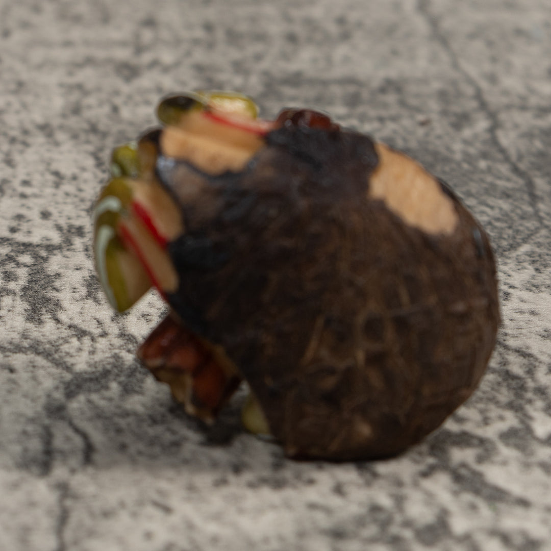 Super Weird Poison Dart Frog Tagua Carving