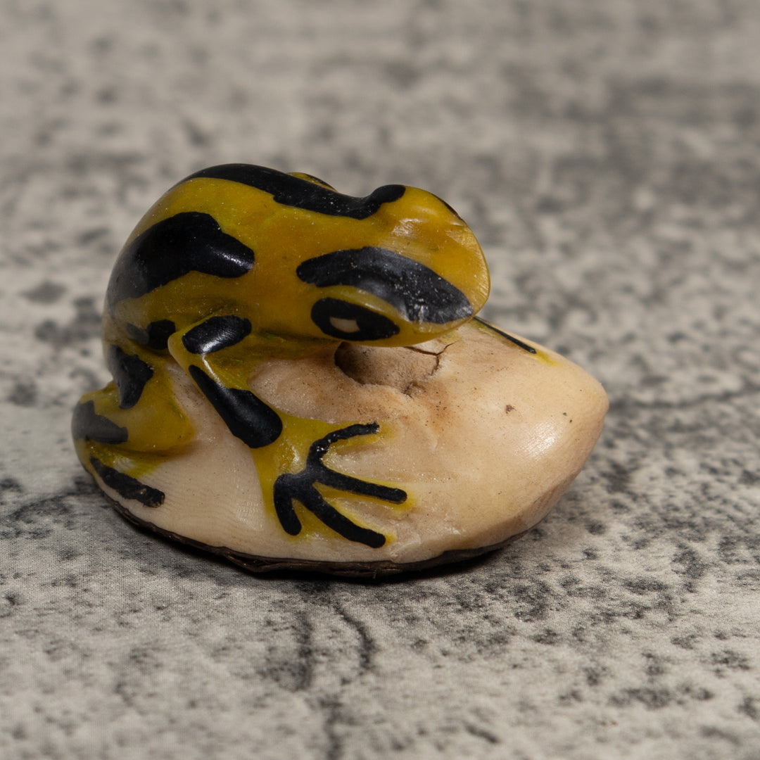 Vintage Yellow And Black Poison Dart Frog Tagua Carving