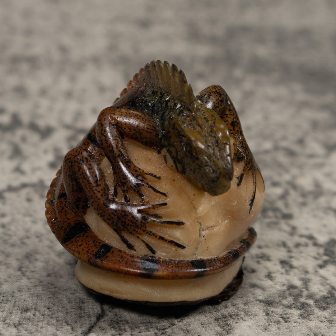 Iguana Lizard Reptile Tagua Carving