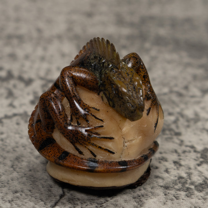 Iguana Lizard Reptile Tagua Carving