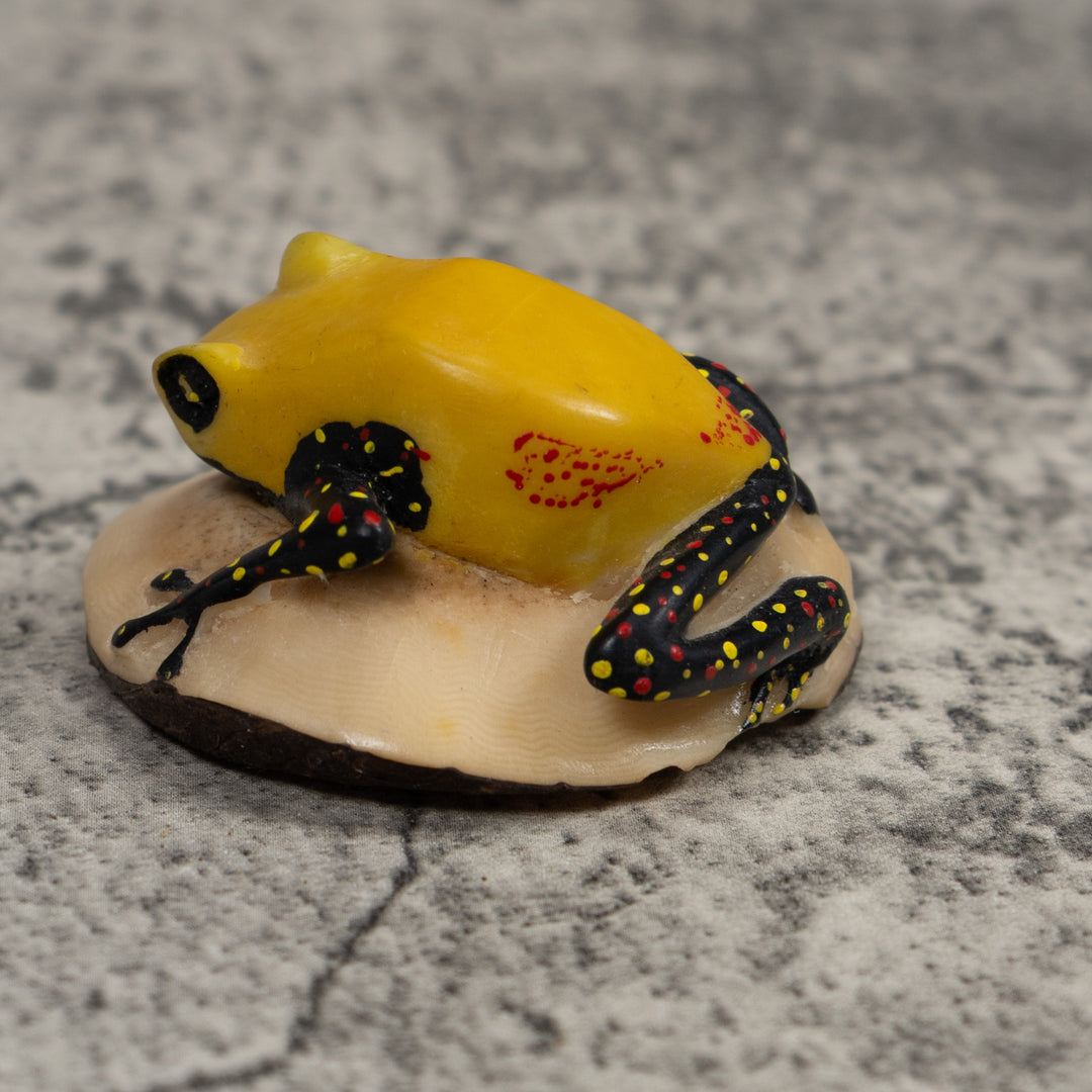 Poison Dart Frog Tagua Carving
