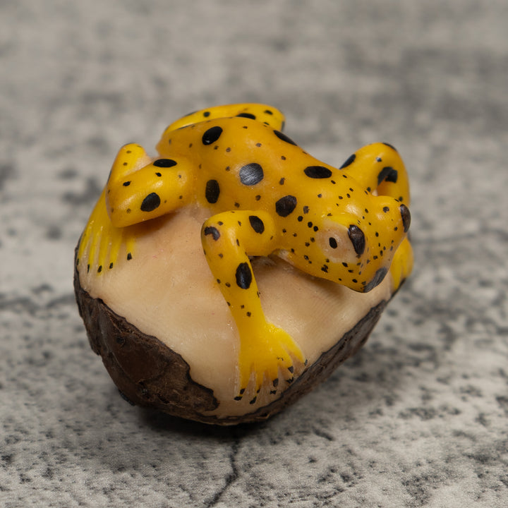 Vintage Yellow And Black Poison Dart Frog Tagua Carving