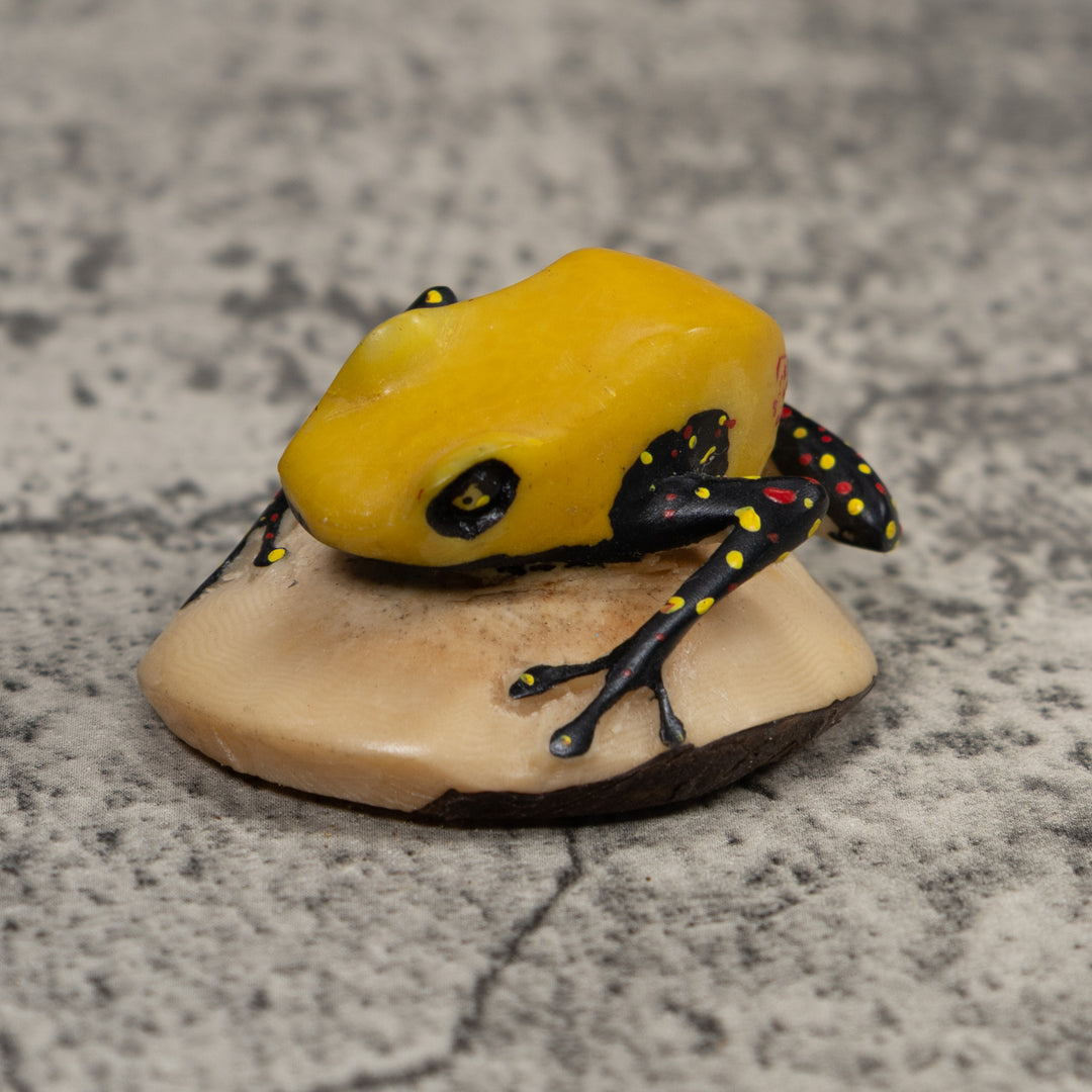 Poison Dart Frog Tagua Carving