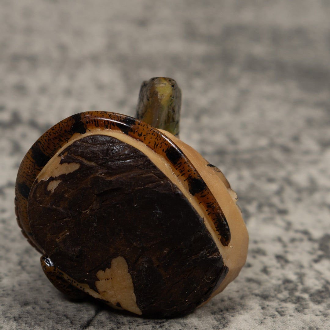 Iguana Lizard Reptile Tagua Carving