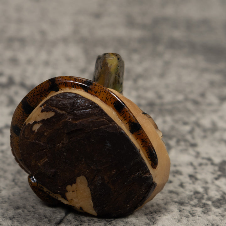 Iguana Lizard Reptile Tagua Carving