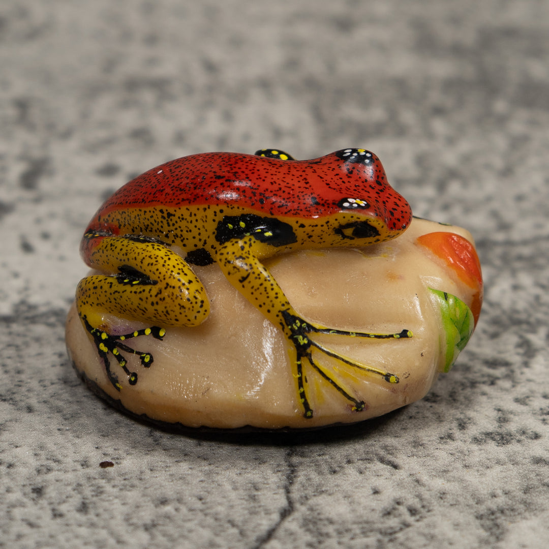 Poison Dart Frog Tagua Carving