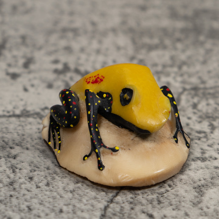 Poison Dart Frog Tagua Carving