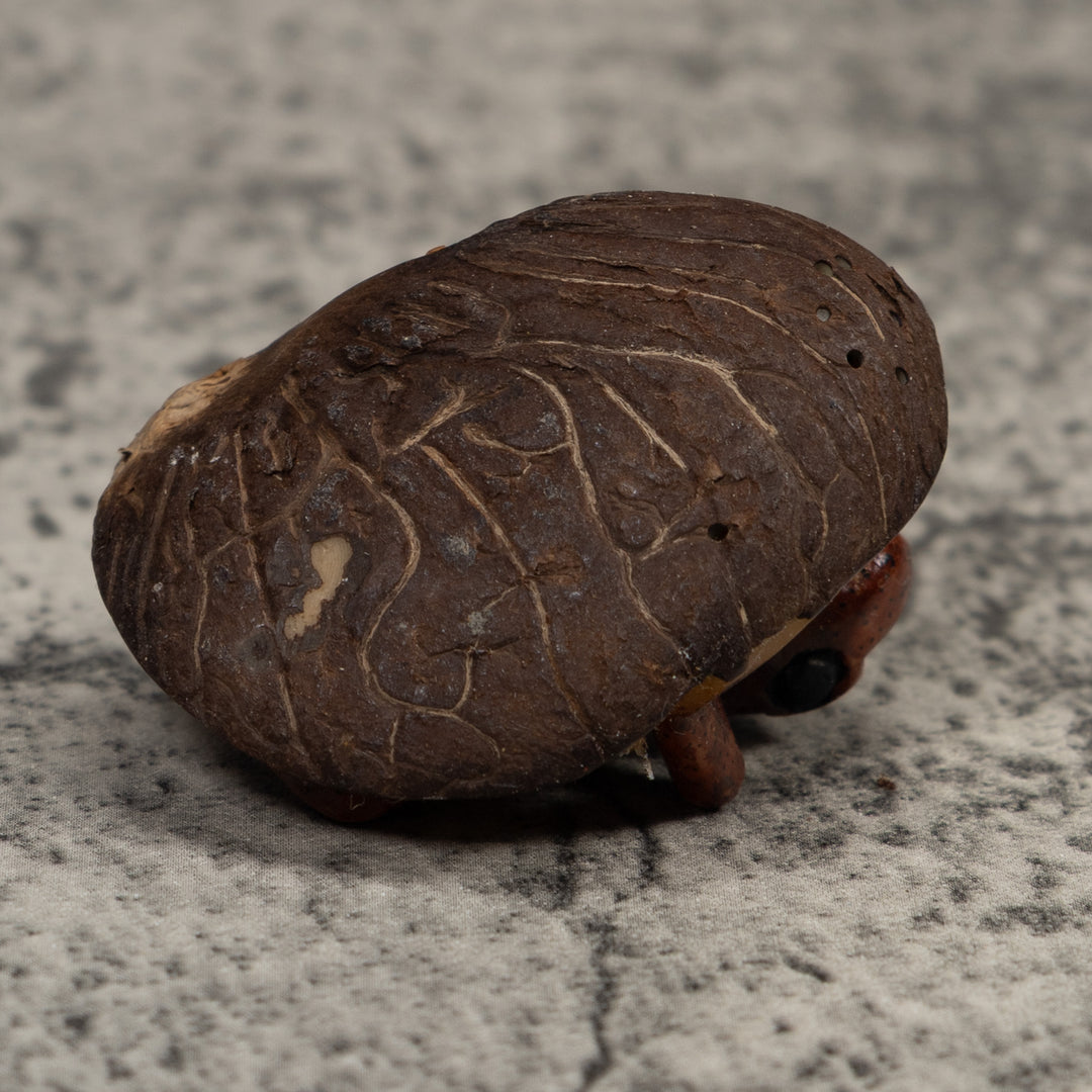 Vintage Brown Frog Tagua Carving