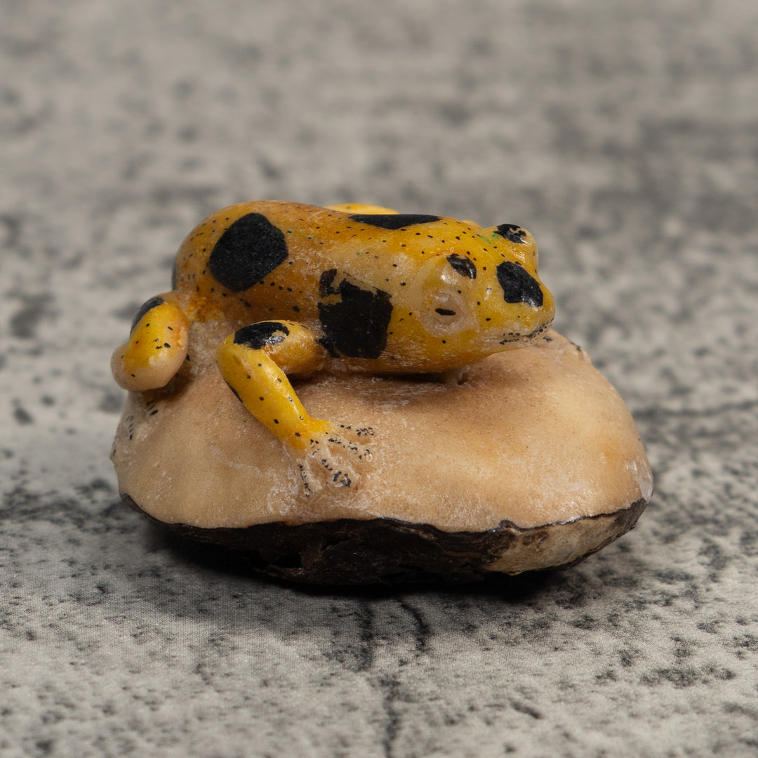 Vintage Yellow And Black Poison Dart Frog Tagua Carving