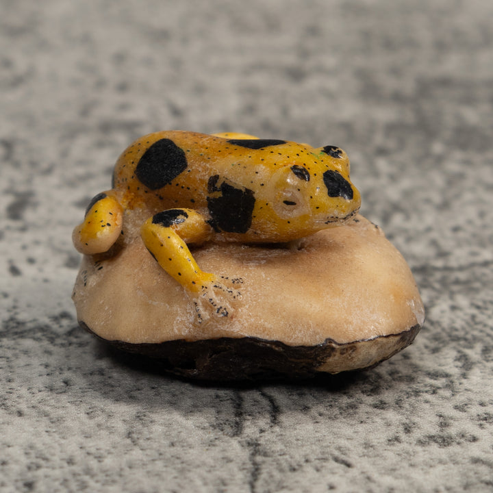 Vintage Yellow And Black Poison Dart Frog Tagua Carving