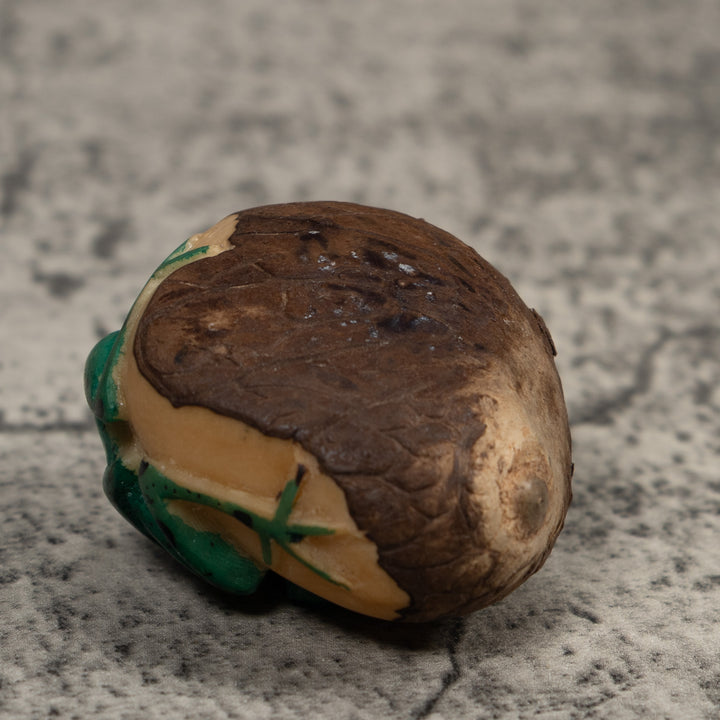 Vintage Black And Green Frog Tagua Carving
