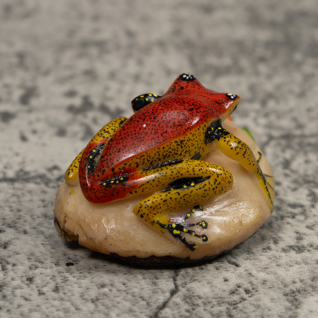 Poison Dart Frog Tagua Carving