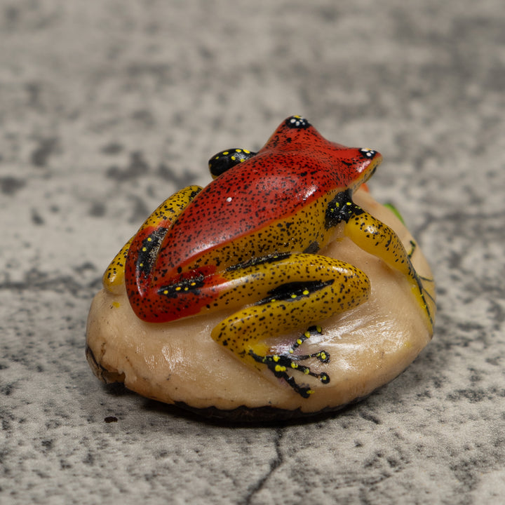 Poison Dart Frog Tagua Carving