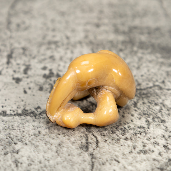 Vintage Toucan Parrot Bird Tagua Carving