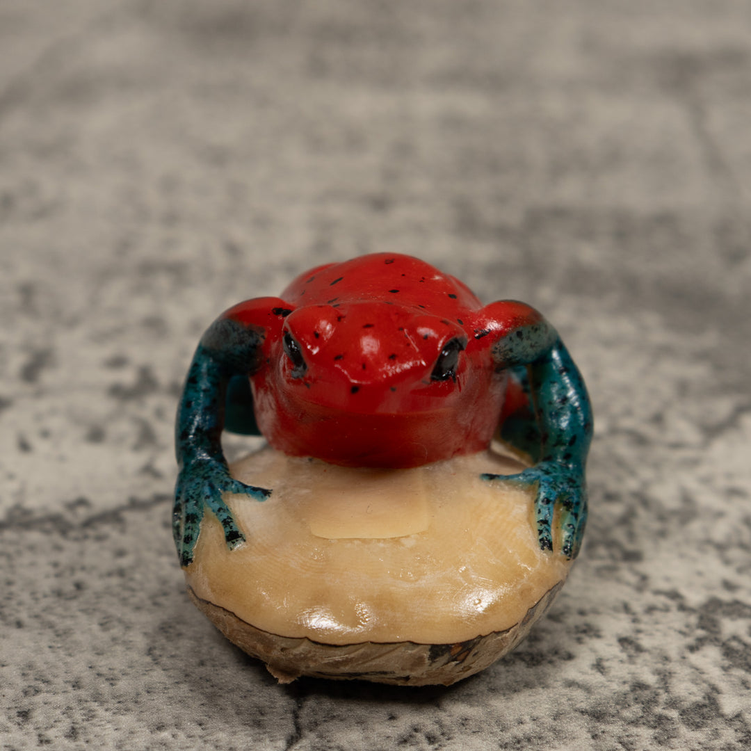 Poison Dart Frog Tagua Carving