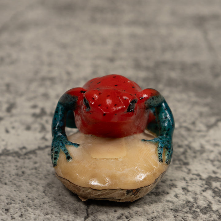 Poison Dart Frog Tagua Carving