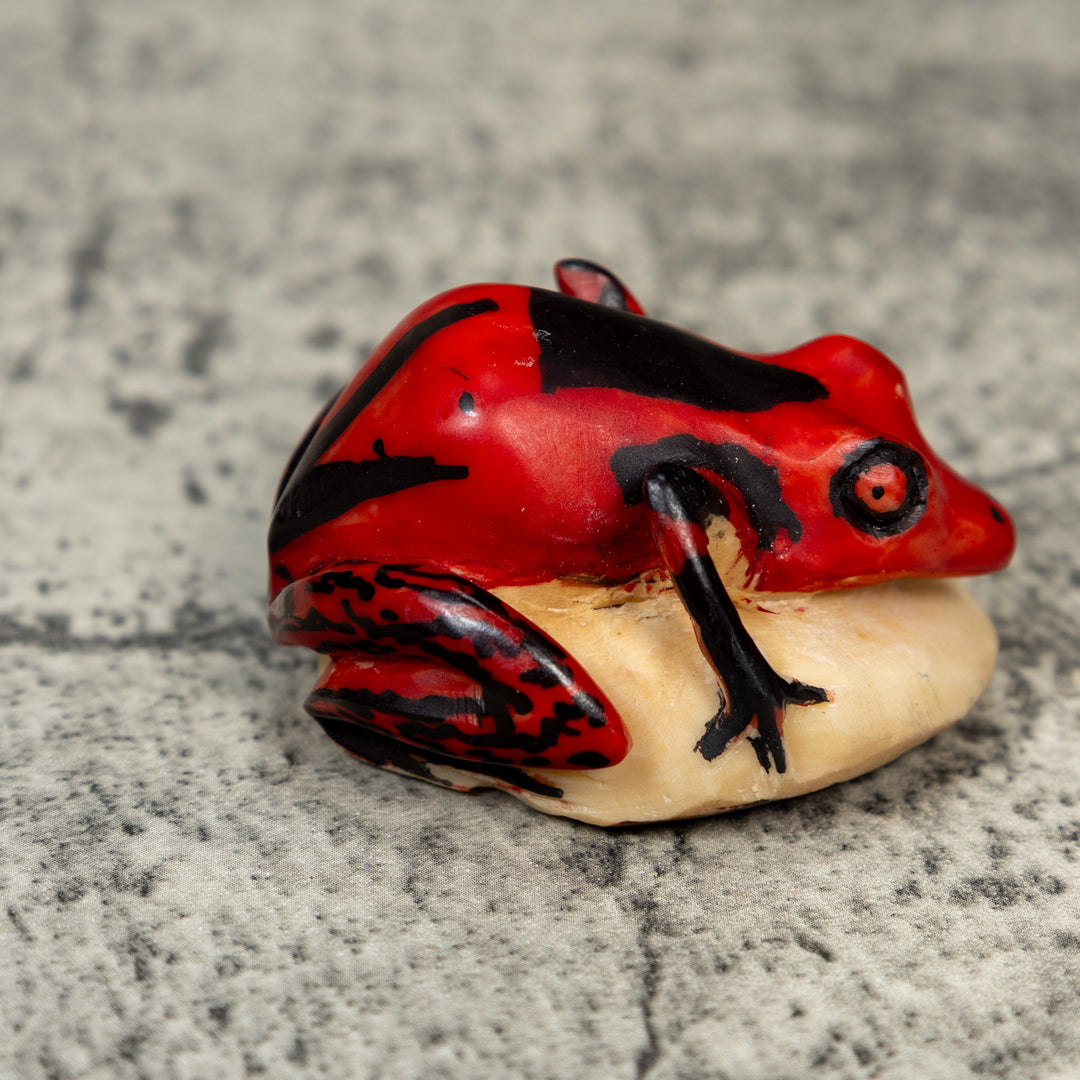 Vintage Red And Black Frog Tagua Carving
