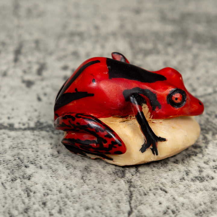 Vintage Red And Black Frog Tagua Carving