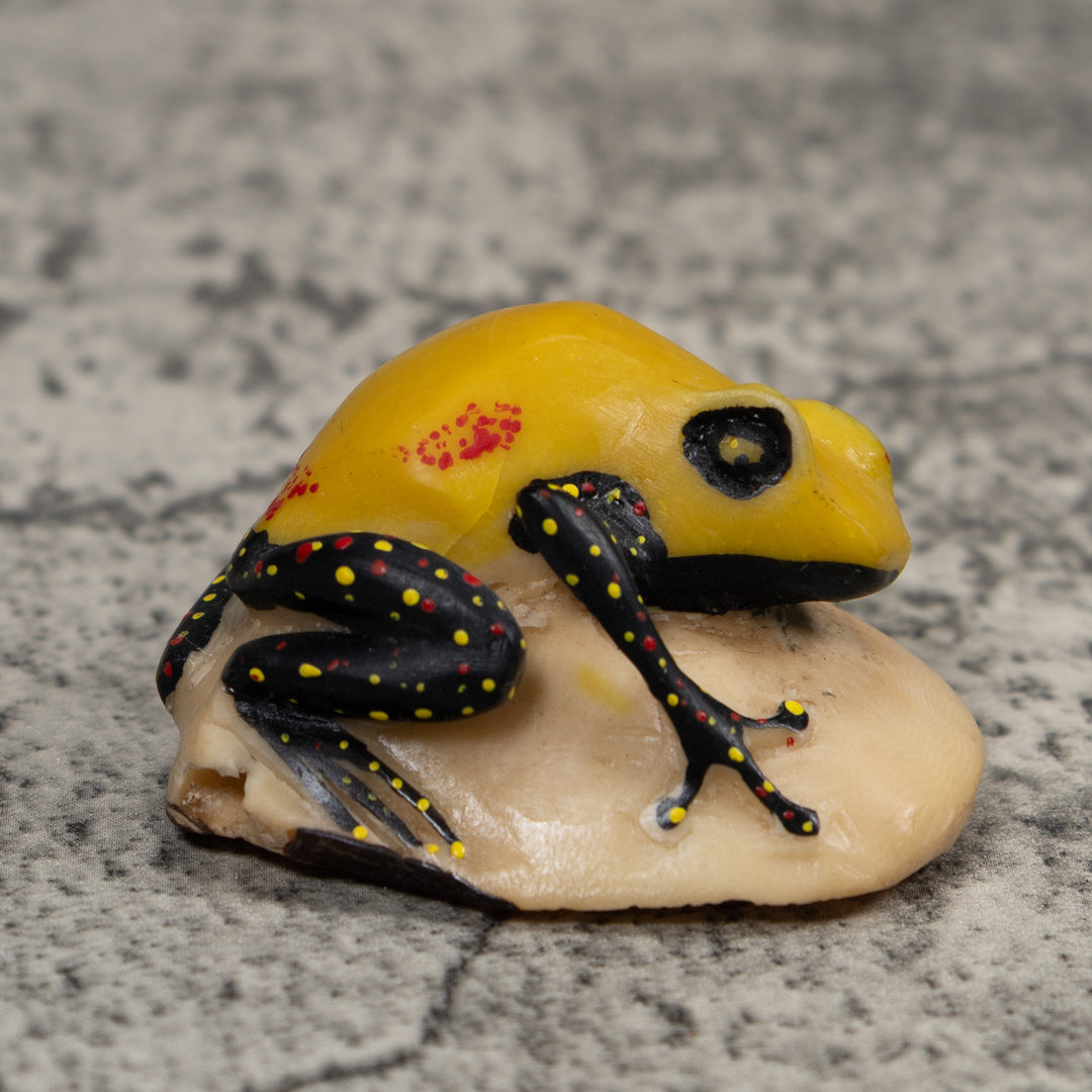 Poison Dart Frog Tagua Carving