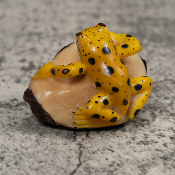 Vintage Yellow And Black Poison Dart Frog Tagua Carving