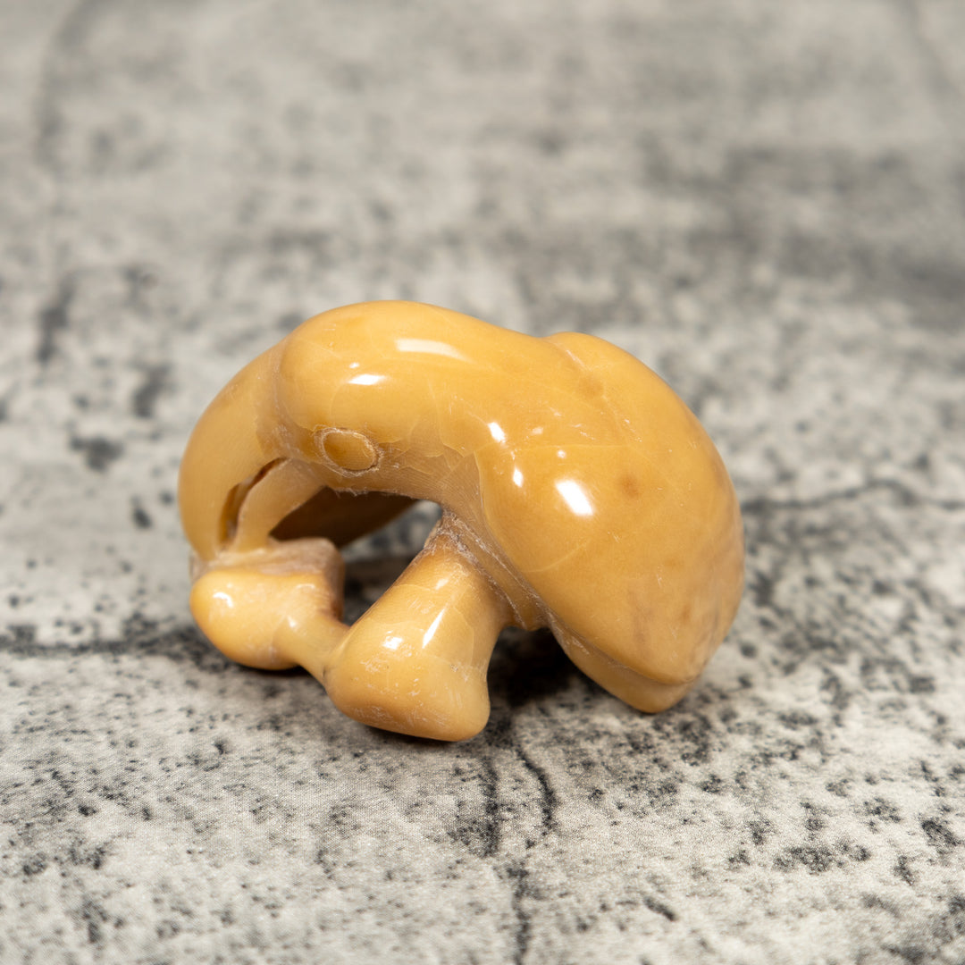 Vintage Toucan Parrot Bird Tagua Carving