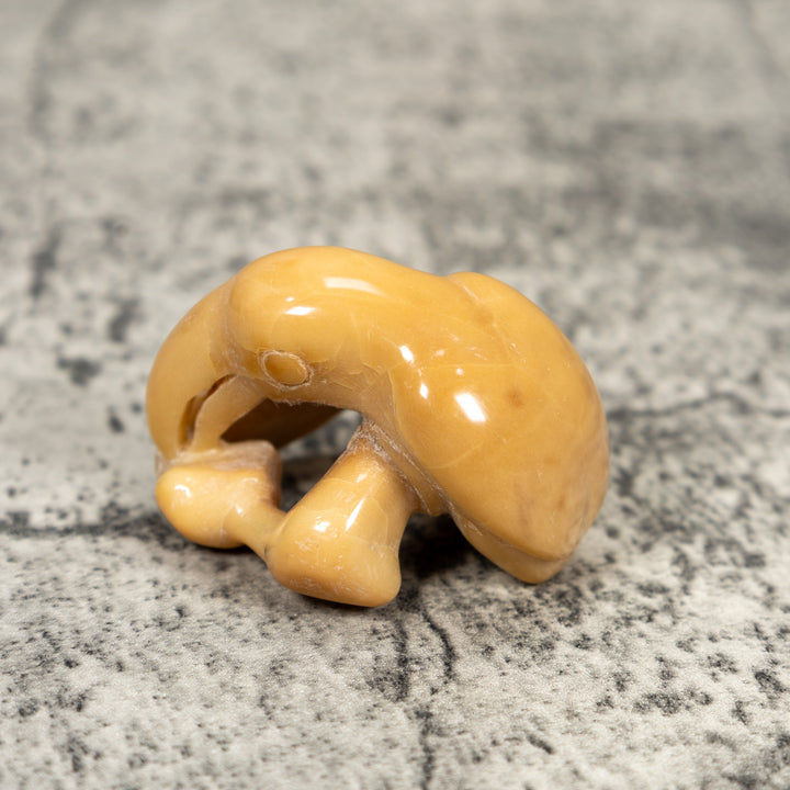 Vintage Toucan Parrot Bird Tagua Carving