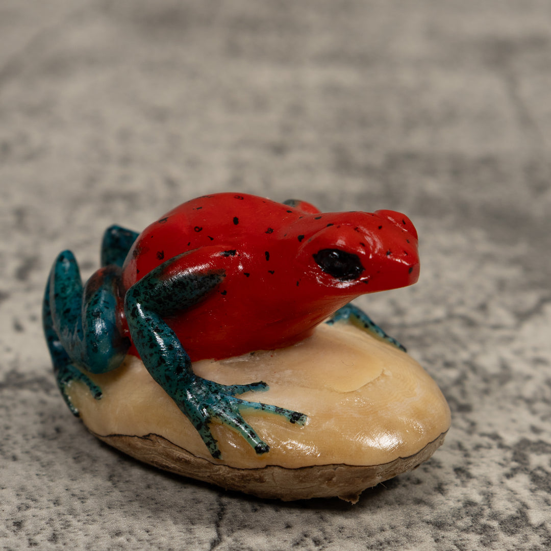 Poison Dart Frog Tagua Carving