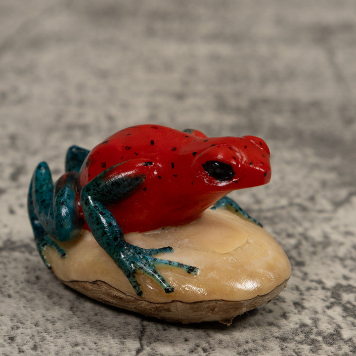 Poison Dart Frog Tagua Carving