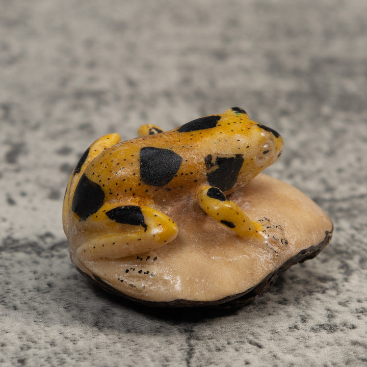 Vintage Yellow And Black Poison Dart Frog Tagua Carving