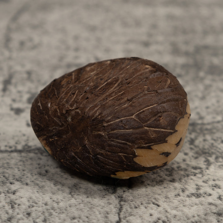 Vintage Frog Tagua Carving