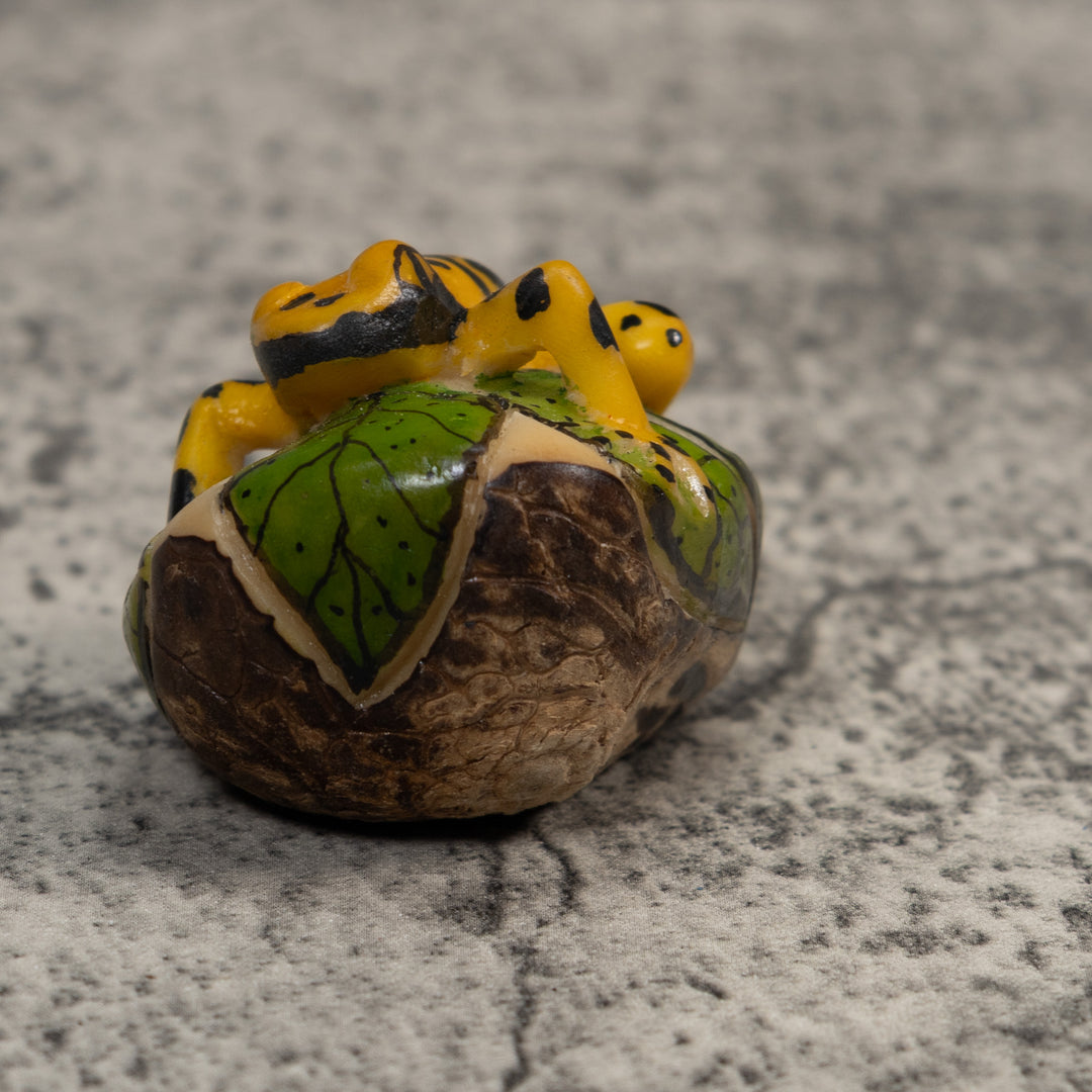 Black And Gold Poison Dart Frog Tagua Carving