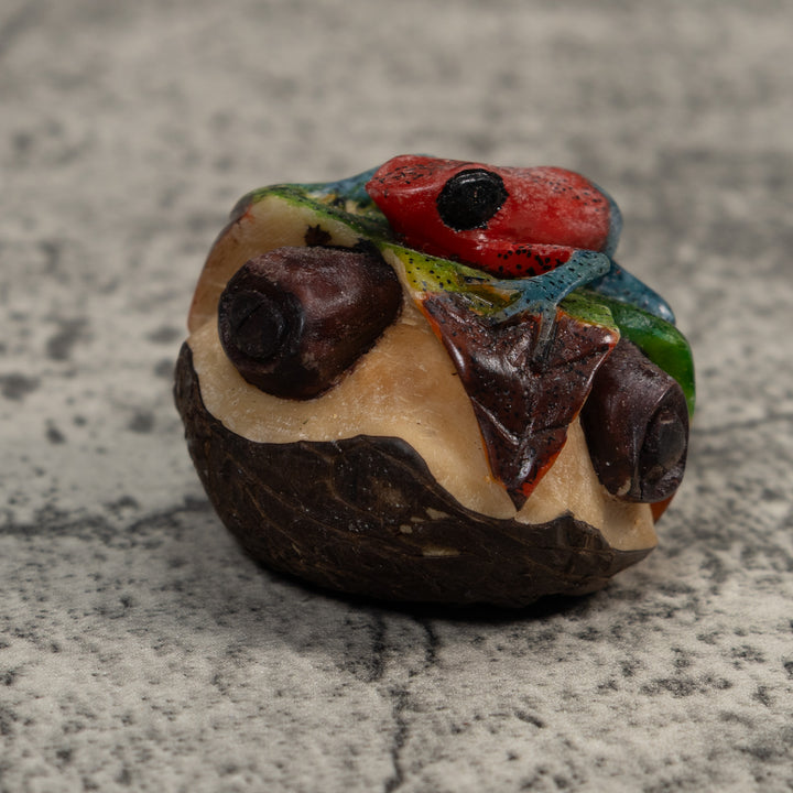 Red And Blue Poison Dart Frog Tagua Carving