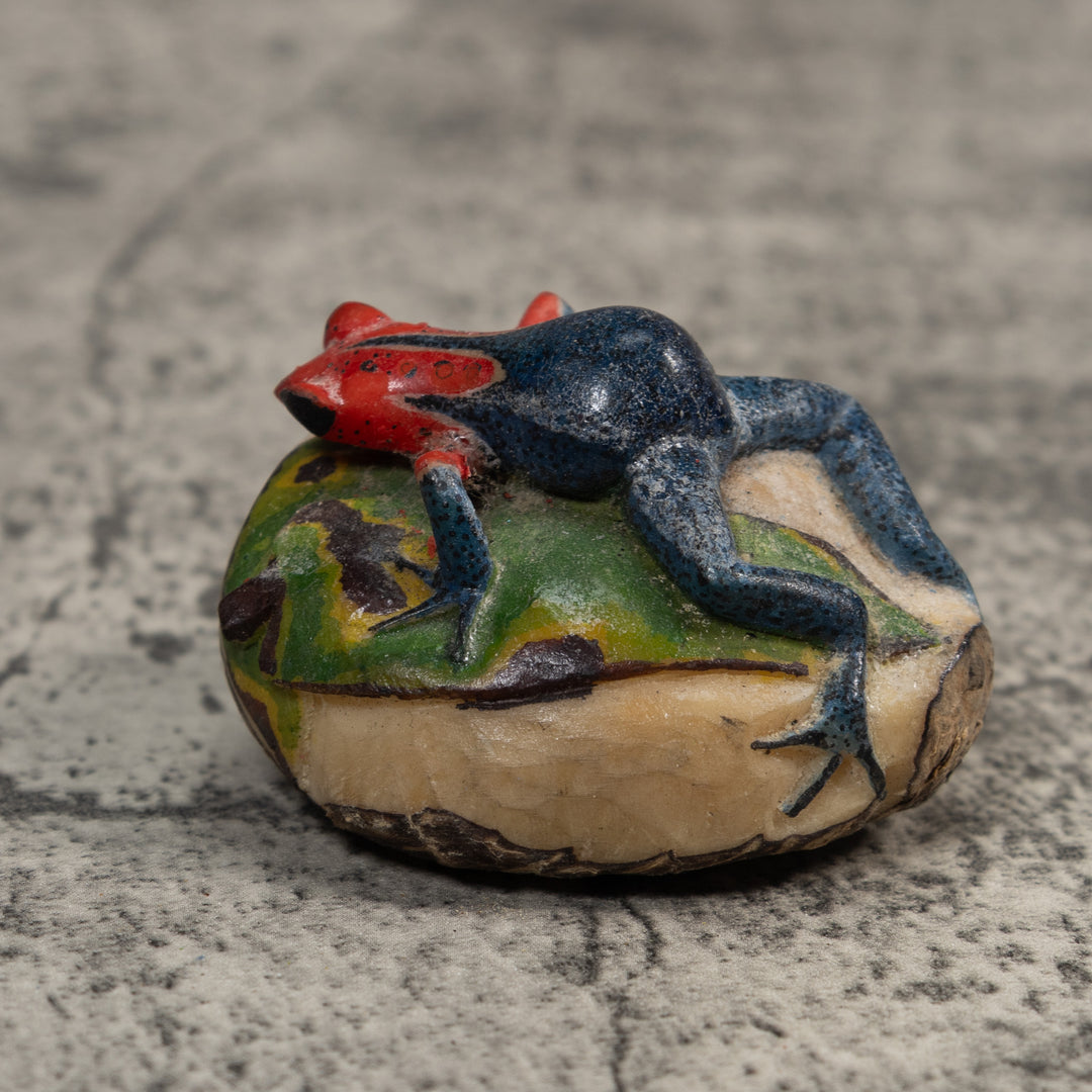 Red And Blue Poison Dart Frog Tagua Carving