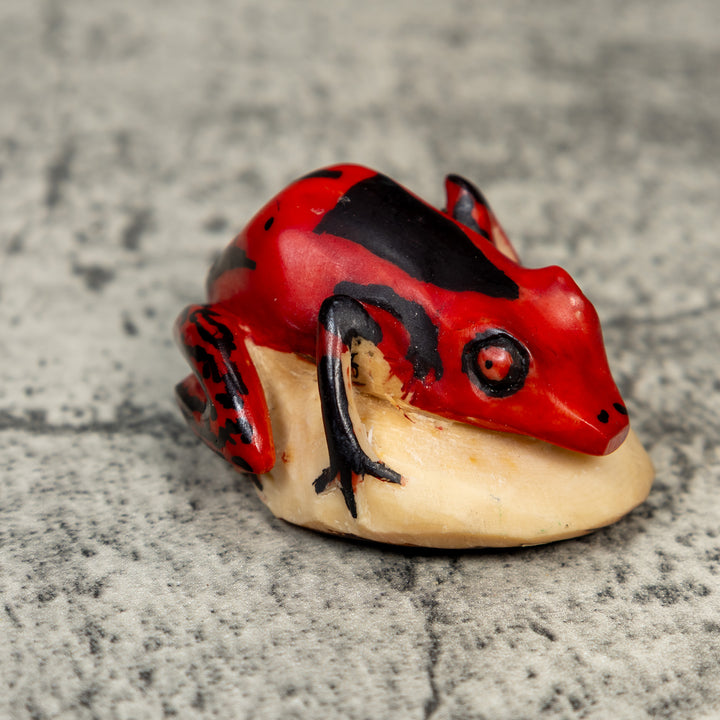 Vintage Red And Black Frog Tagua Carving