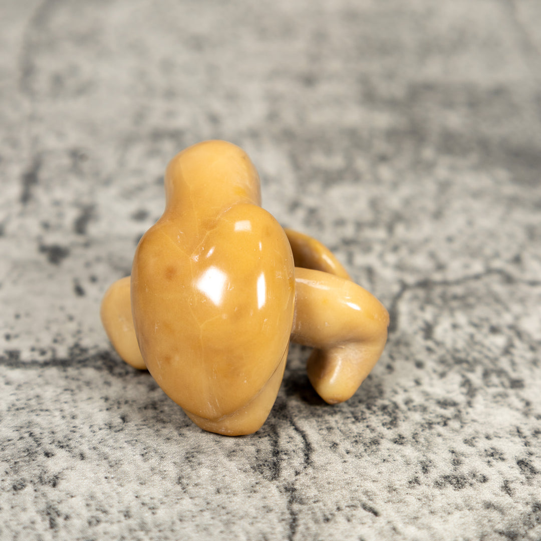 Vintage Toucan Parrot Bird Tagua Carving