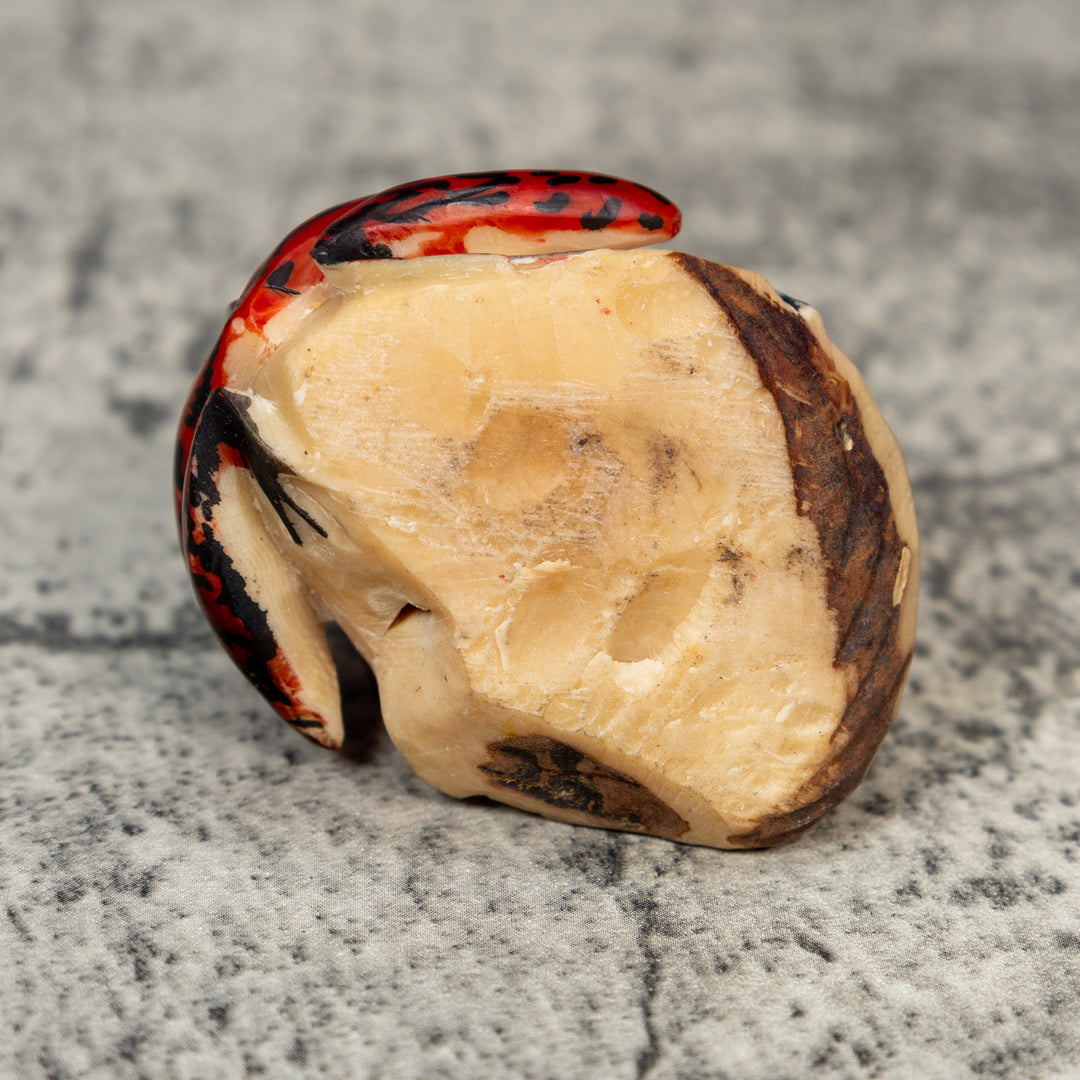 Vintage Red And Black Frog Tagua Carving