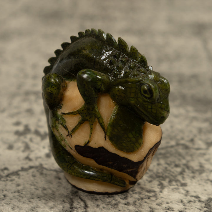 Iguana Lizard Reptile Tagua Carving