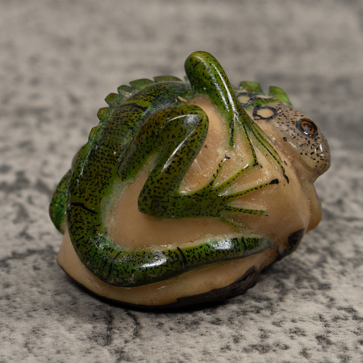 Iguana Lizard Reptile Tagua Carving