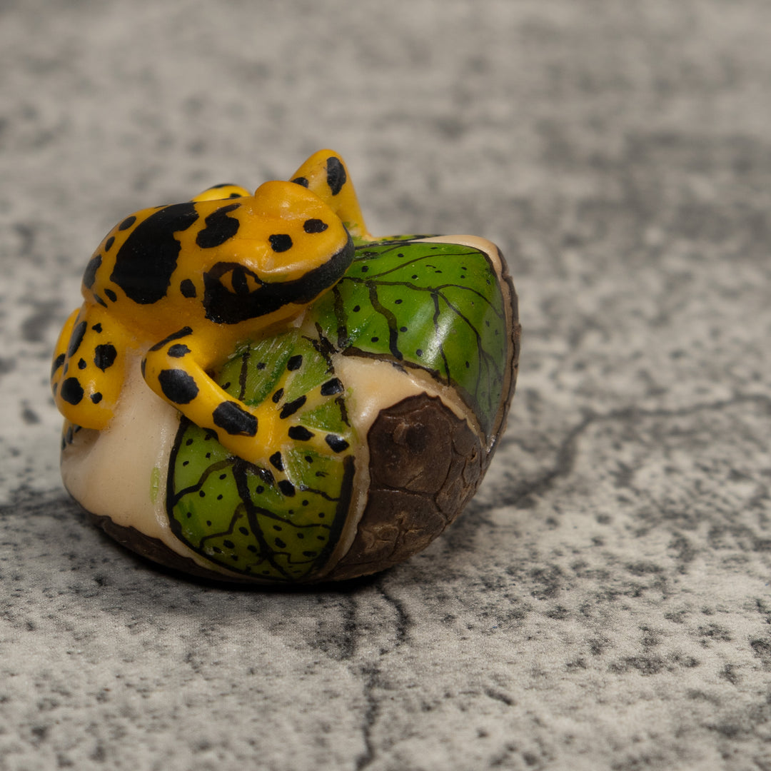 Black And Gold Poison Dart Frog Tagua Carving